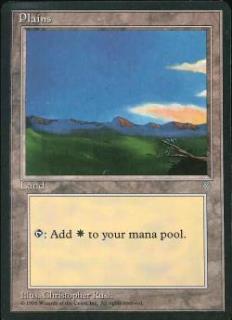 2025年最新】mtg 基本土地の人気アイテム - メルカリ